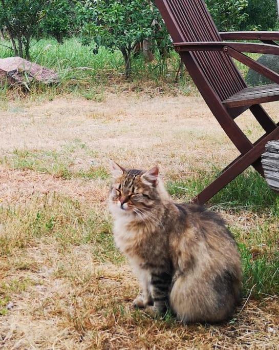 Gaestesuite Am Waldrand, Ausstieg Auf Zeit Heideblick Εξωτερικό φωτογραφία